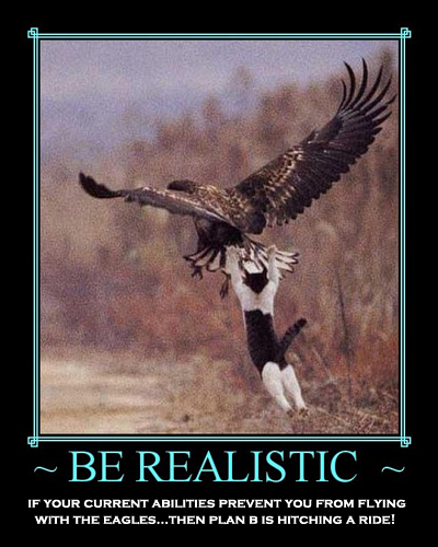 be-realistic-eagle-demotivational-poster-1207944730