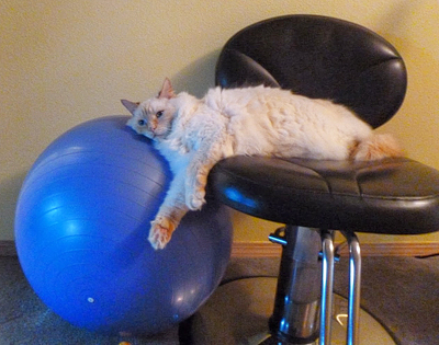 Exercise-ball-and-Louie-copy
